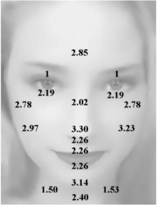 thickness skin aging chart signs dermal