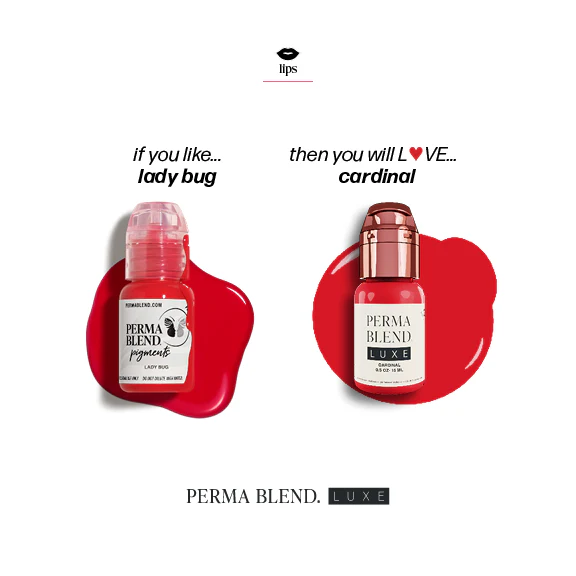 Perma Blend Pigments - Ladybug 1/2 oz - Image 5