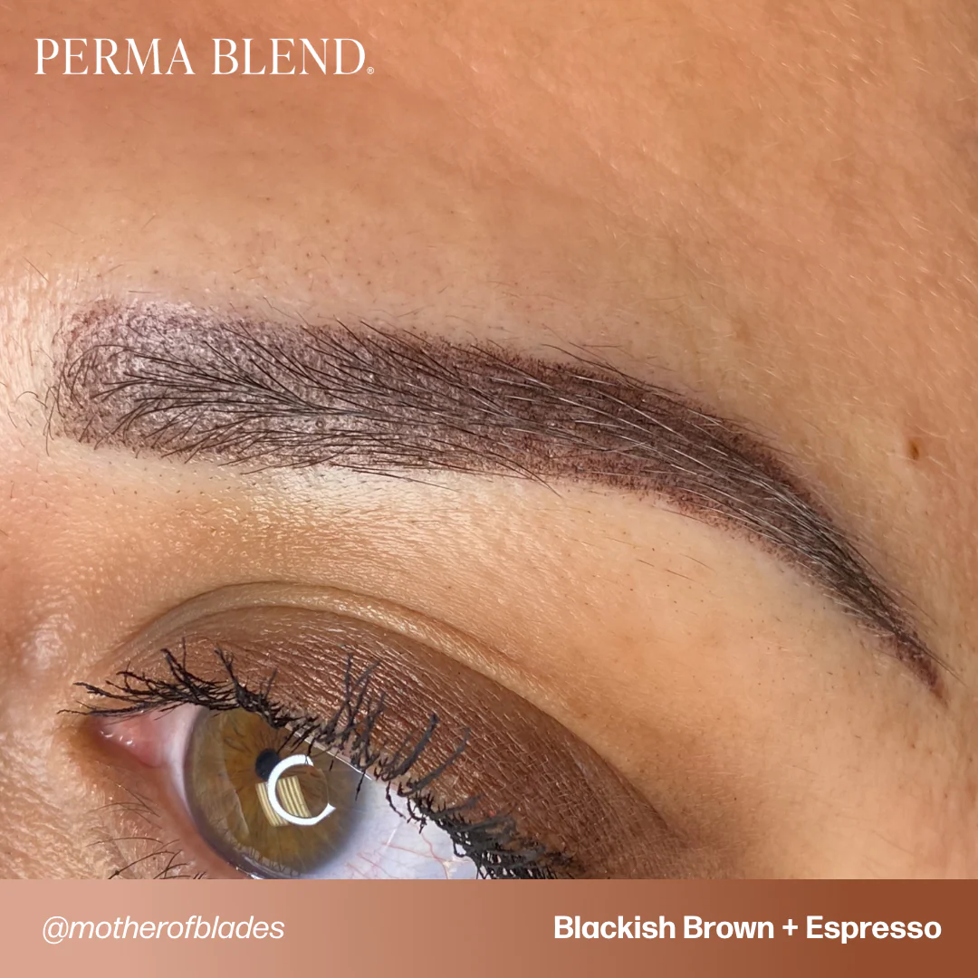 Perma Blend Pigments - Espresso 1/2 oz - Image 5