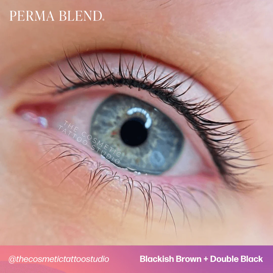 Perma Blend Pigments - Double Black 1/2 oz - Image 6