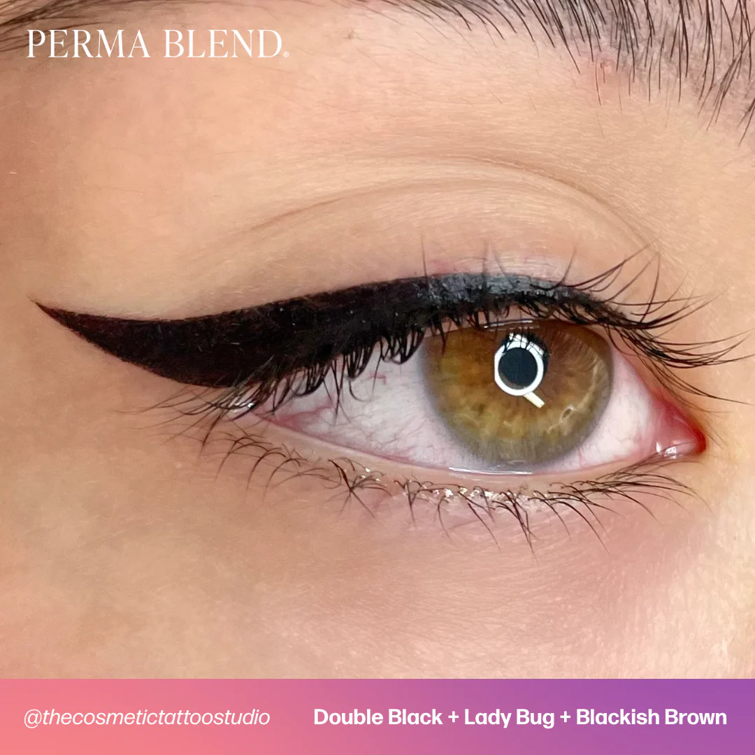 Perma Blend Pigments - Double Black 1/2 oz - Image 4