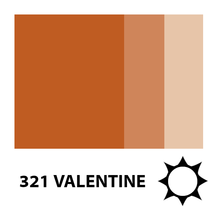 Doreme Permanent Makeup Color