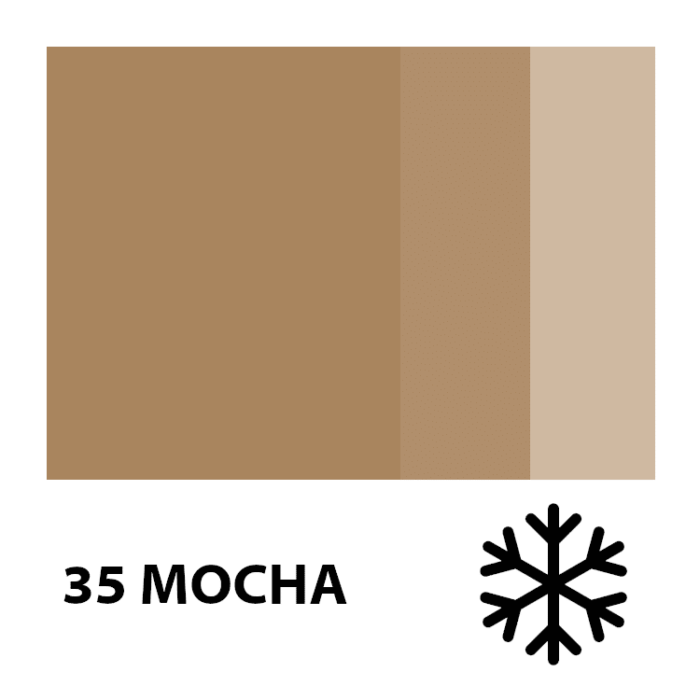 Color Chart Mocha