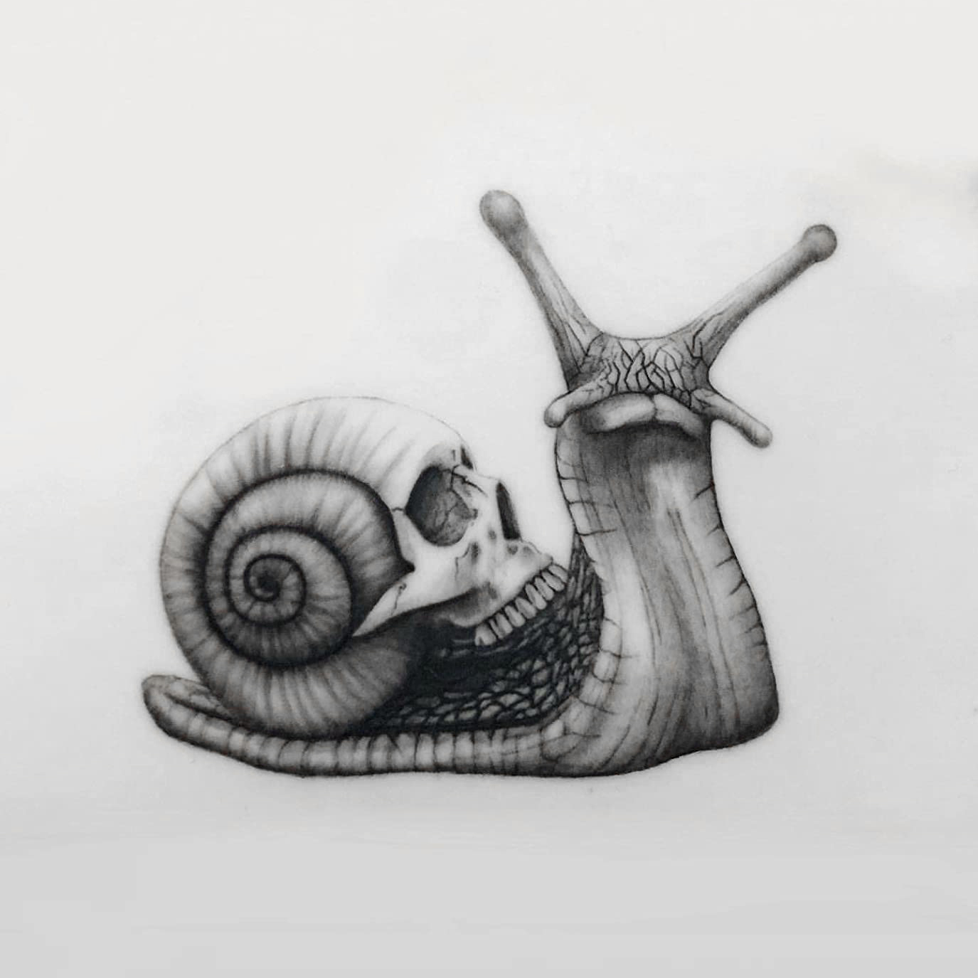 Tattoo Practice Skin 8"x6" | 1.5mm Thick - Image 3