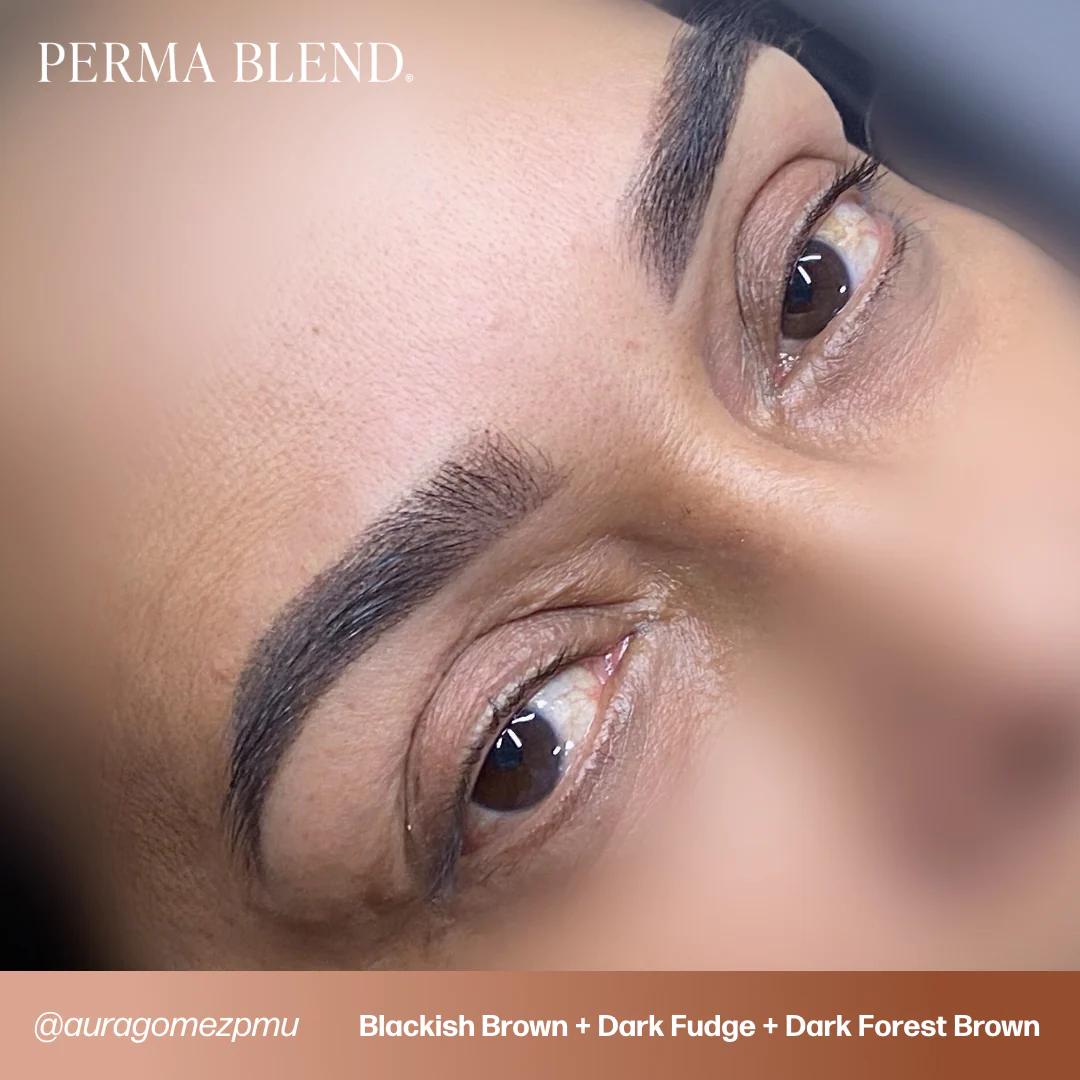 Perma Blend Pigments - Dark Fudge 1/2 oz - Image 4