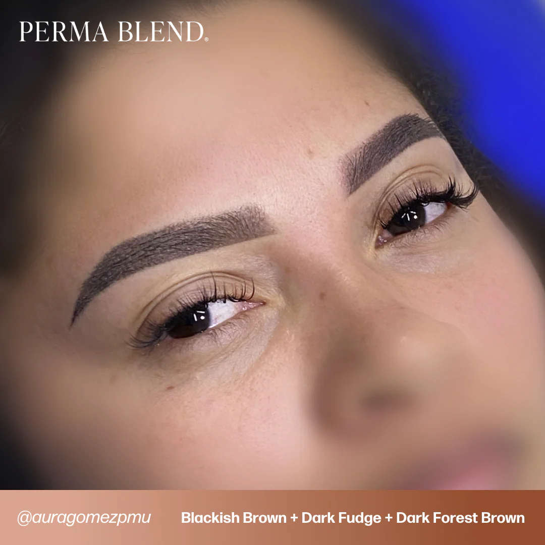 Perma Blend Pigments - Dark Fudge 1/2 oz - Image 6