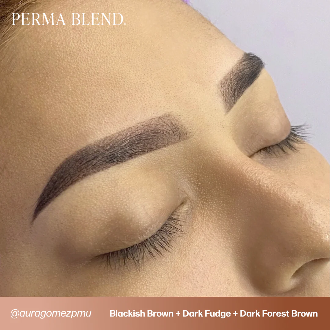 Perma Blend Pigments - Dark Fudge 1/2 oz - Image 5